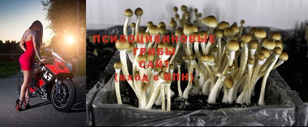 соль ск Богданович