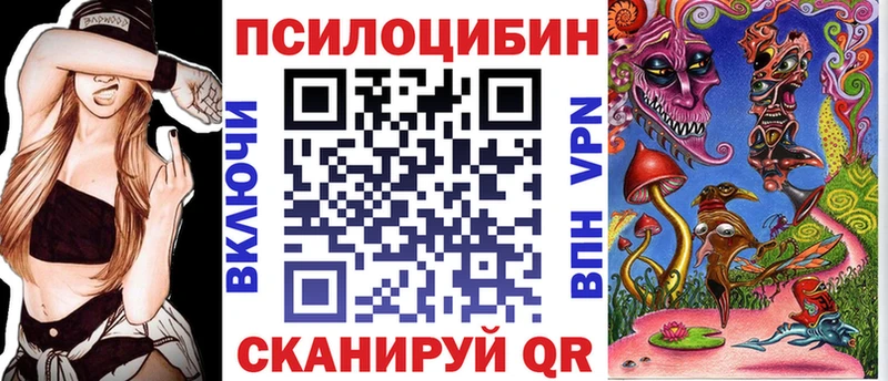 Купить где  Сертолово  Галлюциногенные грибы Cubensis 
